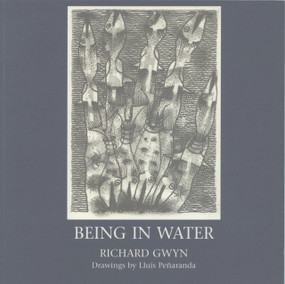Being in Water by Richard Gwyn, 9781902638140