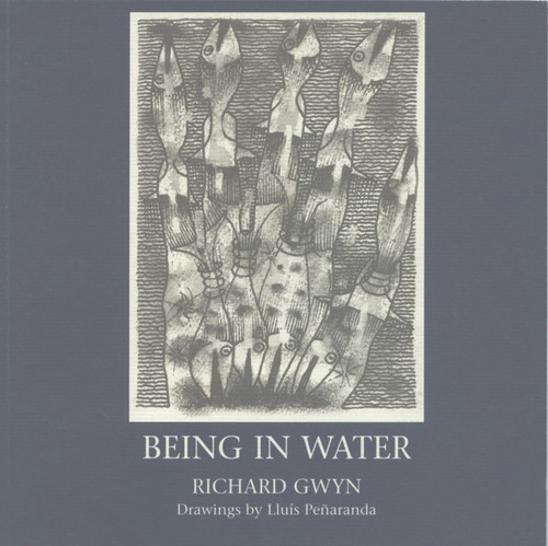 Being in Water by Richard Gwyn, 9781902638140