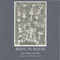 Being in Water by Richard Gwyn, 9781902638140