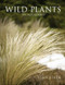 Wild Plants in Auckland by Alan Esler, 9781869403294