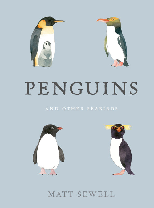 Penguins and Other Seabirds by Matt Sewell, 9780399578670