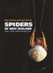 Spiders of New Zealand (and their Worldwide Kin) by Ray Forster, Lyn Forster, 9781877372131