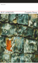 Complete Poems - 9781784100643 by R.F. Langley, Jeremy Noel-Tod, 9781784100643