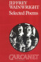 Jeffrey Wainwright: Selected Poems by Jeffrey Wainwright, 9780856355981