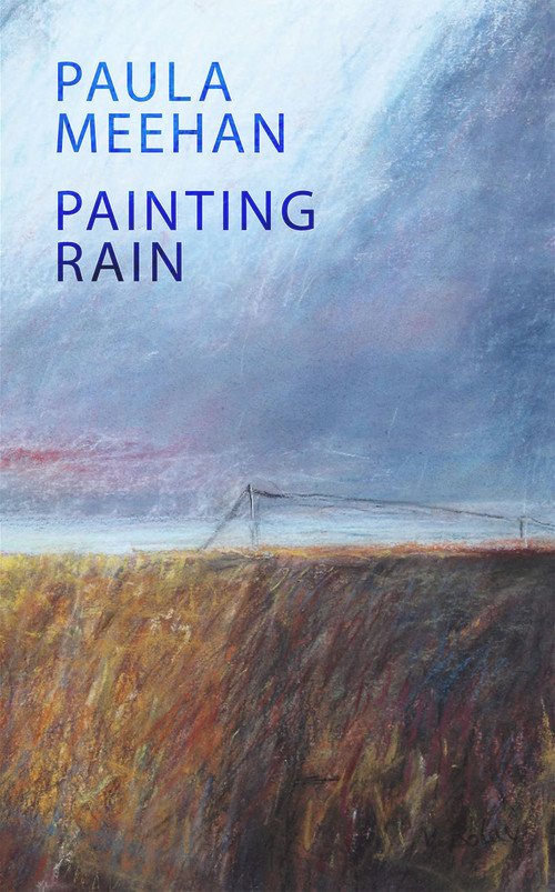 Painting Rain by Paula Meehan, 9781930630420