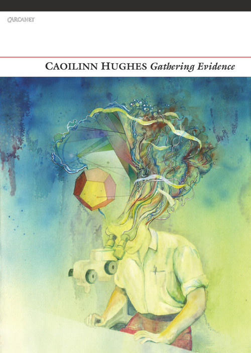 Gathering Evidence by Caoilinn Hughes, 9781847772626