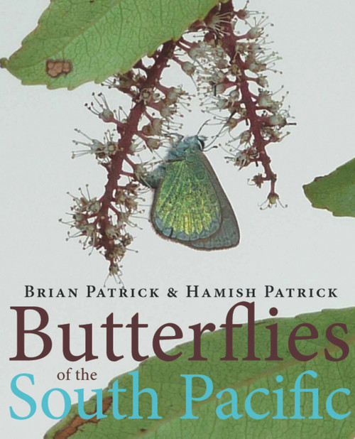 Butterflies of the South Pacific by Brian Patrick, Hamish Patrick, John Tennent, 9781877578045