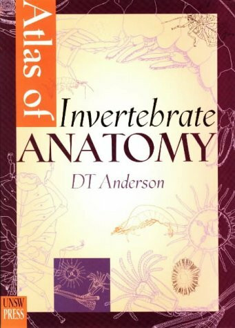 Atlas of Invertebrate Anatomy by D T Anderson, 9780868402079