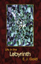 Life in the Labyrinth by E. J. Gold, Linda Corriveau, 9780895560483