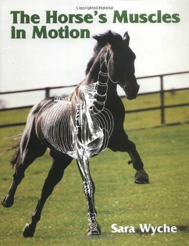 The Horse's Muscles in Motion by Sara Wyche, 9781861264565