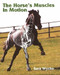 The Horse's Muscles in Motion by Sara Wyche, 9781861264565