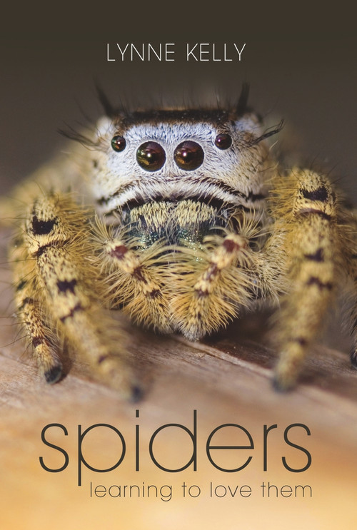 Spiders (Learning to Love Them) by Lynne Kelly, 9781741751796