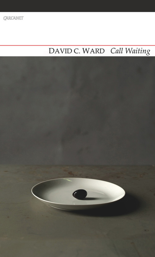 Call Waiting by David C. Ward, 9781847772268