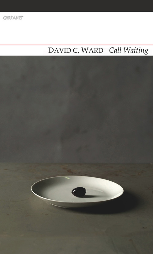 Call Waiting by David C. Ward, 9781847772268