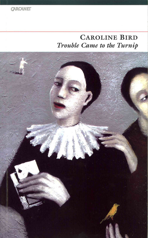 Trouble Came to the Turnip by Caroline Bird, 9781857548877