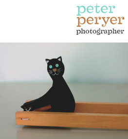 Peter Peryer, Photographer by Peter Simpson, Peter Peryer, 9781869404178
