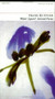 What? Again? (Selected Poems) by Frank Kuppner, 9781857544992