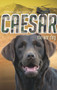 Caesar the War Dog by Stephen Dando-Collins, 9781742756318