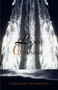 Light of Oneness by Llewellyn Vaughan-Lee, 9781890350079