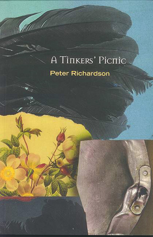 A Tinker's Picnic by Peter Richardson, 9781550651249