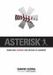 Asterisk (Home Runs, Steroids, and the Rush to Judgment) by David Ezra, Mike Schmidt, 9781600780622