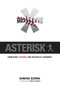 Asterisk (Home Runs, Steroids, and the Rush to Judgment) by David Ezra, Mike Schmidt, 9781600780622