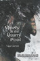 Miners at the Quarry Pool by Nigel Jarrett, 9781909844063
