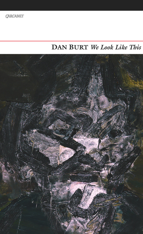 We Look Like This - 9781847771322 by Dan Burt, 9781847771322