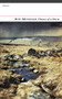 Chance of a Storm by Rod Mengham, 9781784100834
