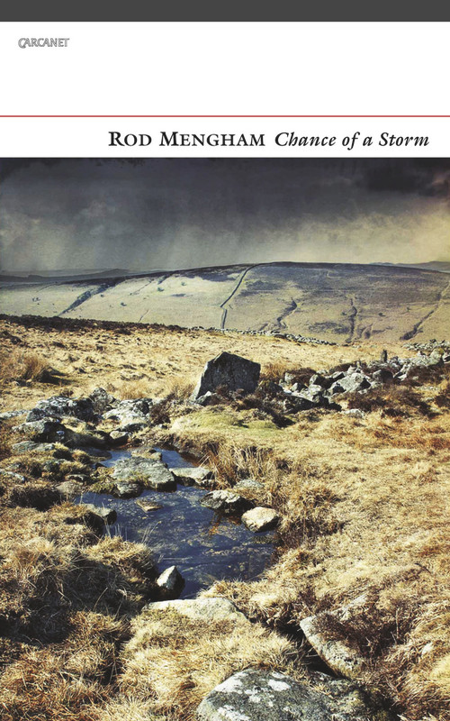 Chance of a Storm by Rod Mengham, Rod Mengham, 9781784100834