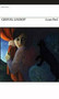 Luna Park by Grevel Lindop, 9781857549874