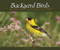 Backyard Birds (Welcomed Guests at Our Gardens and Feeders) by Stan Tekiela, 9781591936411