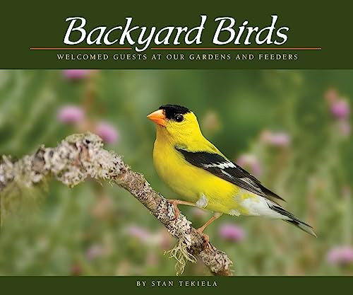 Backyard Birds (Welcomed Guests at Our Gardens and Feeders) by Stan Tekiela, 9781591936411