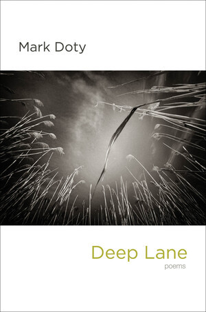 Deep Lane (Poems) by Mark Doty, 9780393070231