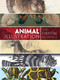 Animal Illustration: The Essential Reference by Carol Belanger Grafton, 9780486799865