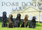 Posh Dogs by Pimpernel Press, 9781910258767