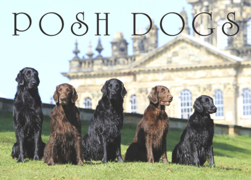 Posh Dogs by Pimpernel Press, 9781910258767