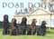 Posh Dogs by Pimpernel Press, 9781910258767