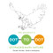 The Escapist's Dot-to-Dot: Extraordinary Nature by Thibault Daumain, 9780062573612