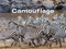 Camouflage by American Museum of Natural History, 9781454920793