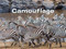 Camouflage by American Museum of Natural History, 9781454920793