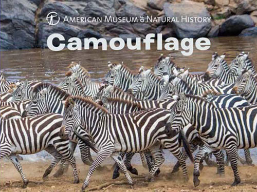 Camouflage by American Museum of Natural History, 9781454920793