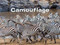 Camouflage by American Museum of Natural History, 9781454920793