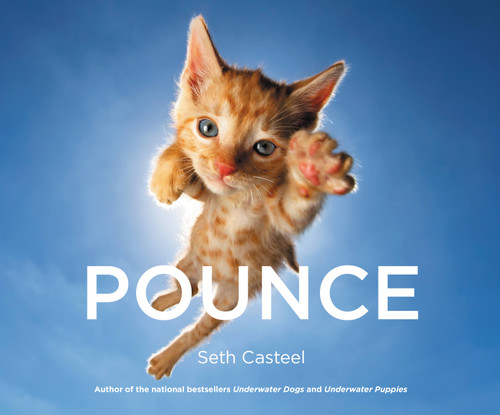 Pounce by Seth Casteel, 9780316349222