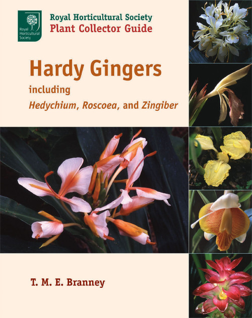 Hardy Gingers (including Hedychium, Roscoea, and Zingiber) by T. M. E. Branney, 9781604691733