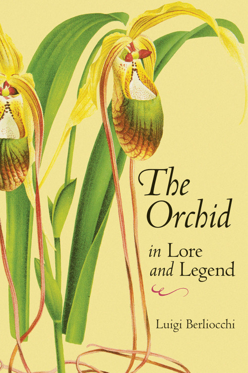 The Orchid in Lore and Legend by Luigi Berliocchi, 9780881926163