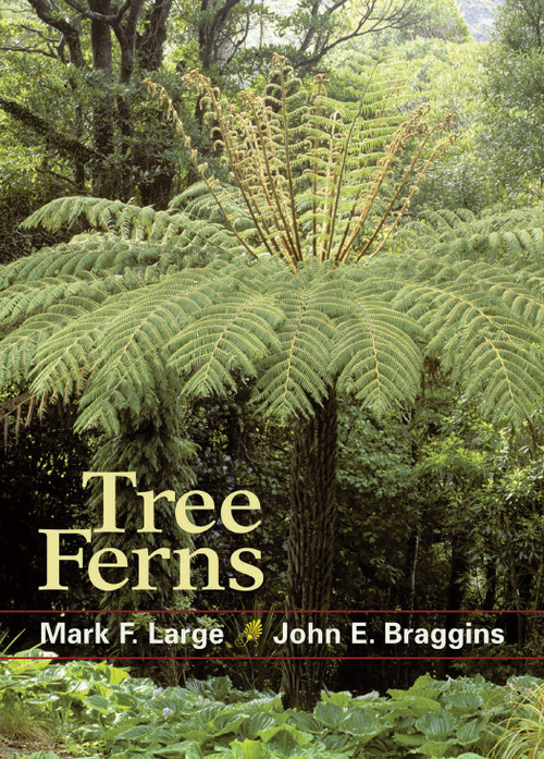 Tree Ferns by Mark F. Large, John  E. Braggins, 9781604691764