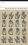 The Number Poems by Matthew Welton, 9781784102203