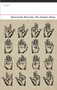 The Number Poems by Matthew Welton, 9781784102203