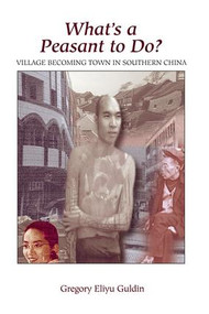 What's A Peasant To Do? Village Becoming Town In Southern China by Greg Guldin, 9780813338002